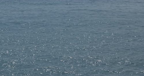 Sea surface