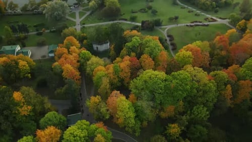 Vuelo sobre el parque otoñal. Se ven árboles con hojas amarillas de otoño. Fotografía aérea.