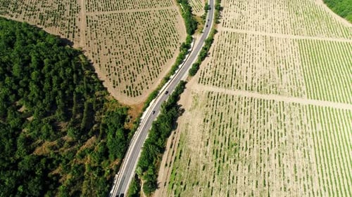 Aerial View of Rural Road Through Farmland