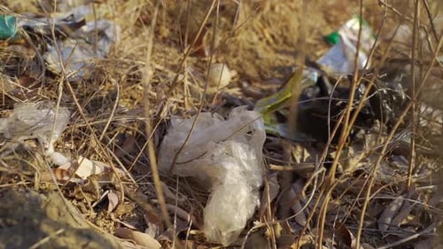 Trash Scattered on Dry Ground