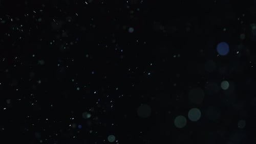 Abstract Dust Particles Floating on Black Background