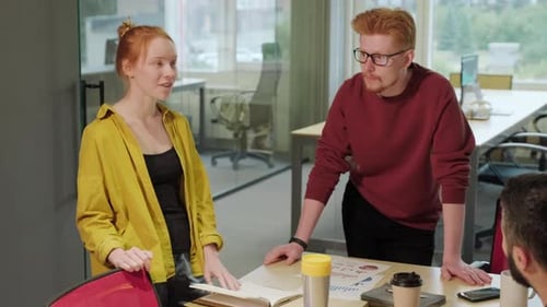 Team Meeting in Modern Office