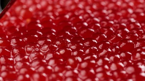 Close Up of Red Caviar with Spoon