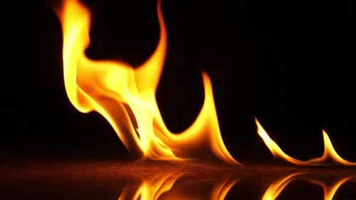 Vivid Flames Flickering Against a Black Background