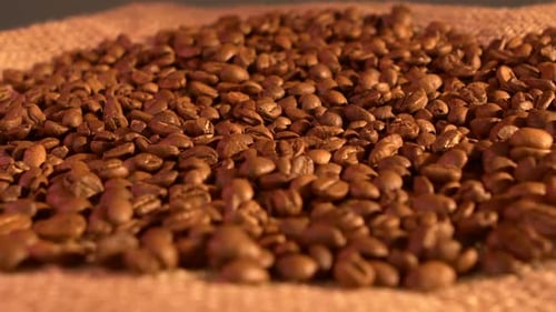 Pile of Coffee Beans on Burlap Material