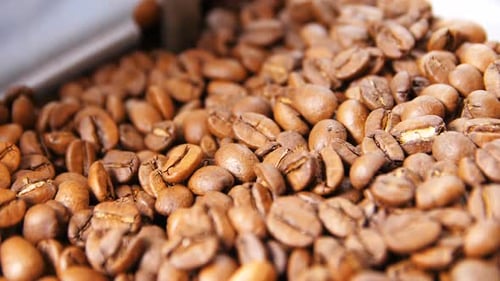 Macro Upper View Flavoured Brown Well Roasted Coffee Grains