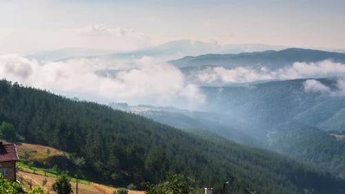 Moving morning mists over the tree-covered mountain slopes