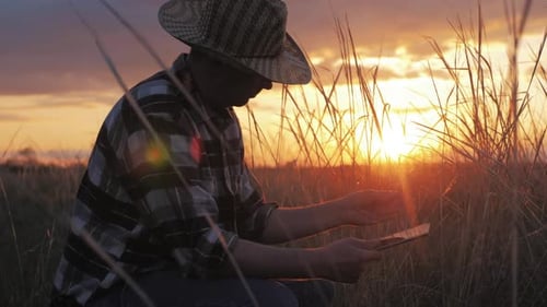 Farmer Using Tablet at Sunset in Rural Field