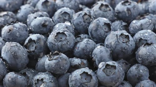 Fresh washed blueberry berries heap