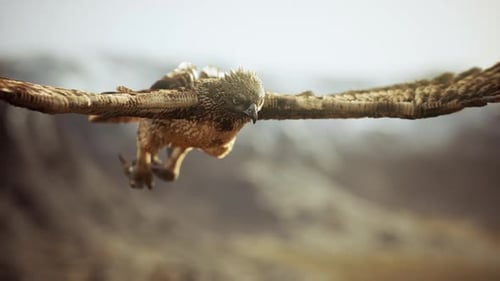 Realistic 3D Animation of a Majestic Flying Griffon