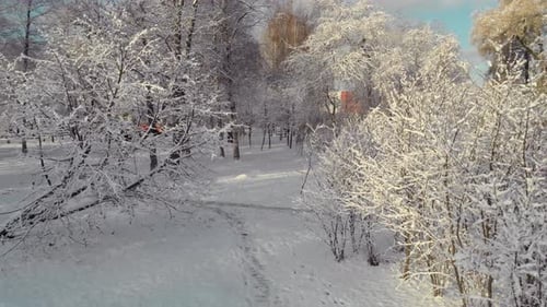 Luftaufnahme des Winterparks in St.