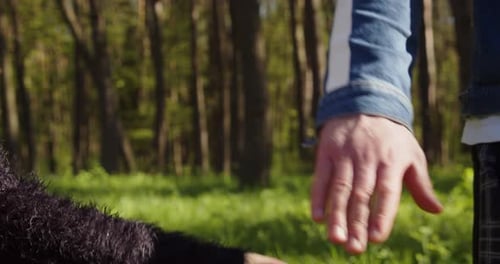 Papá y bebé tomados de la mano