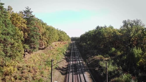 Empty railway road in forest