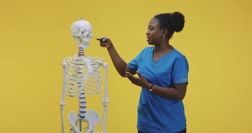 Young Woman Explains Anatomy Using Skeleton Model