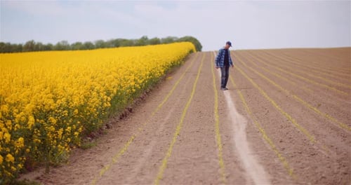 Agriculture - Farmer or Agronomist Walking on Agricultural Field