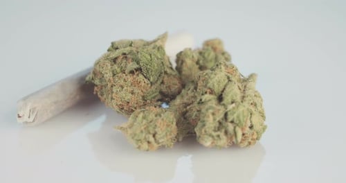 Macro shot of medicinal marijuana flowers and joint on white surface