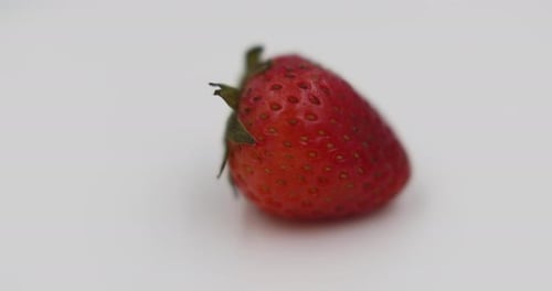 Erdbeersamen Rotation