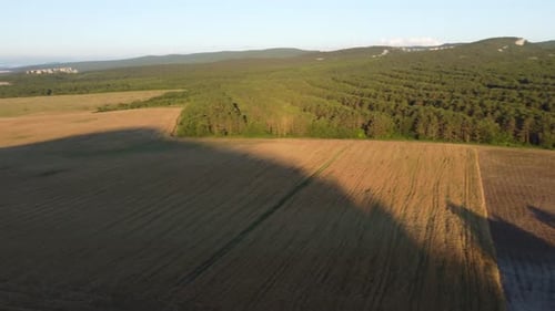Aerial View on Ripe Wheat Field in Countryside