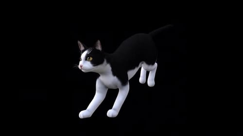 Vue de face avant de Cat Fast Run en noir et blanc,