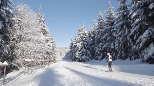 Ein Langläufer fährt im Winter in einer verschneiten Waldlandschaft einen Trail hinunter