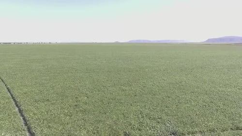 011 Agro Diverso