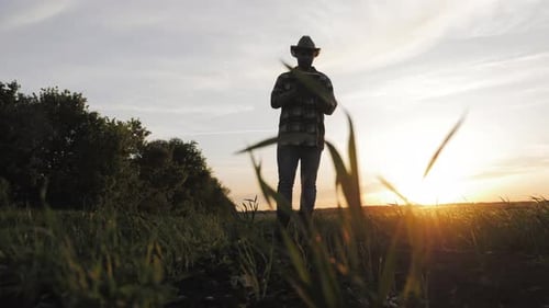 Silhouette of Farmer Using Tablet at Sunset
