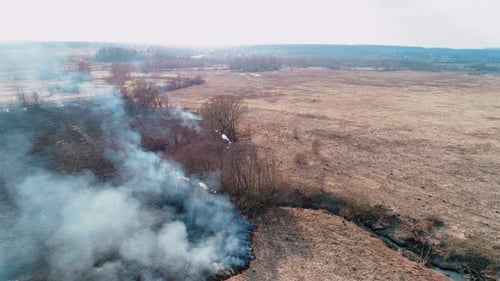 Forest and Field Fire. Dry Grass Burns, Natural Disaster. Aerial View. A Small Area of Burning Field