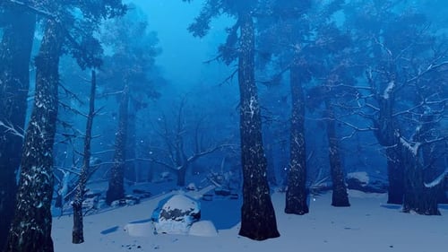 Dunkler Winterwald