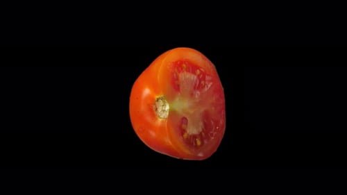 Rebanada de tomate que gira con canal alfa