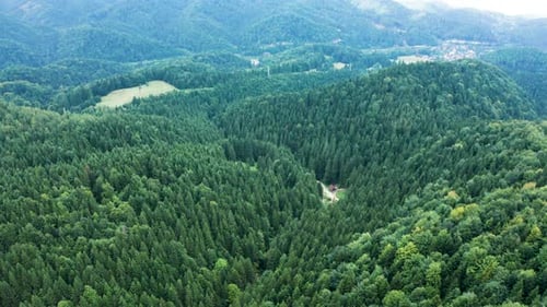 Luftaufnahme des Berges mit grünem Wald