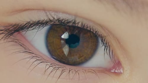 Eye (2K)