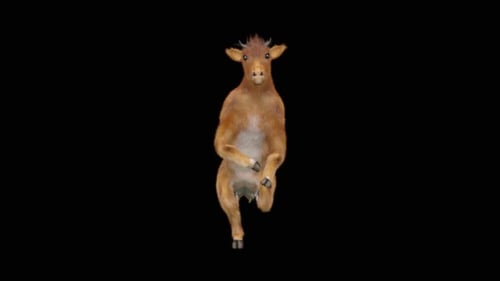 Cute 3D Goat Dancing Animation Loop