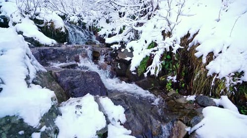Small Stream Among Wet Stones and White Snow in the Picturesque Carpathian Mountains in Ukraine
