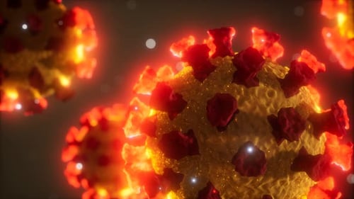 Corona Virus Covid 19 Macro Model