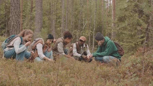 Group of Friends Hiking in Forest
