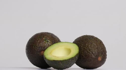 Avocado 53