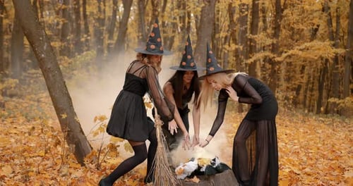 Girls in Witch Costumes Doing Magic in the Autumn Park