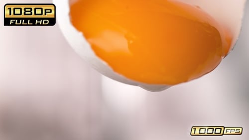 Egg Yolk Close Up in Shell with Dripping Liquid