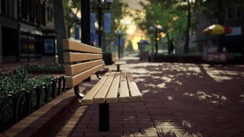 Quiet City Park with Trees and Benches