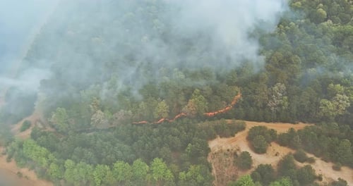 Forest in California with panoramic aerial wildfire is burning trees smoke fire dry grass