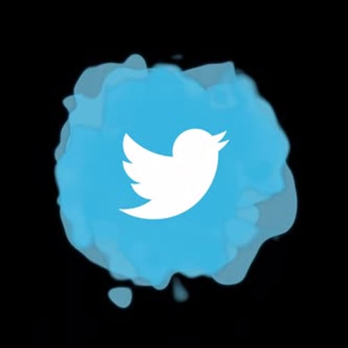 Twitter Social Media Icon