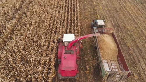Harvesting Grain in a Field Aerial Shot
