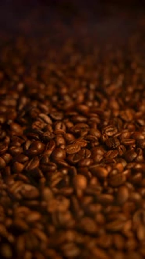 Fresh Roasted Coffee Beans Steaming