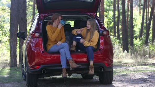 Forest Picnic In The Car Trunk