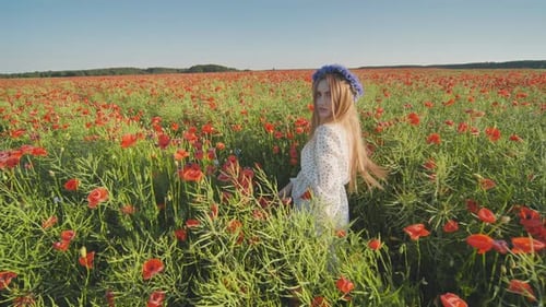 Ukrainian Girl Walking Through a Red Poppy Field