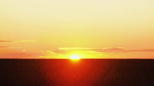 Pôr do sol sobre o campo de trigo dourado em lapso de tempo. O sol se põe atrás do horizonte. Espigas de trigo maduras