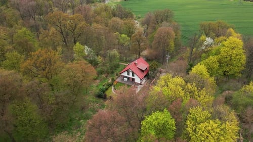 Aerial View of Alone House in Nature