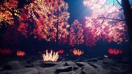 Glow Light Forest 4k