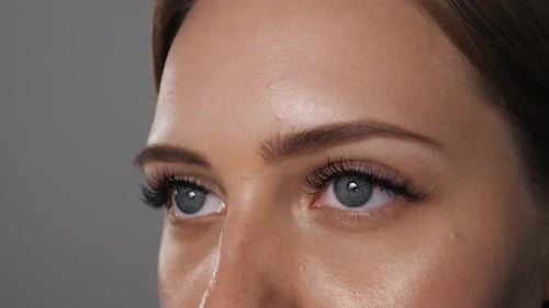 Female Eye with Long Russian Volume Eyelashes Close Up Blue Eyes Macro Open Nude Clear Skin