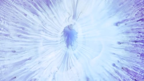 Liquid Marble Texture